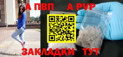 шишки Бийск