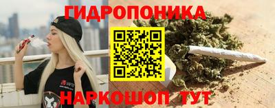 шишки Бийск