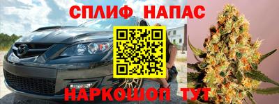 шишки Бийск