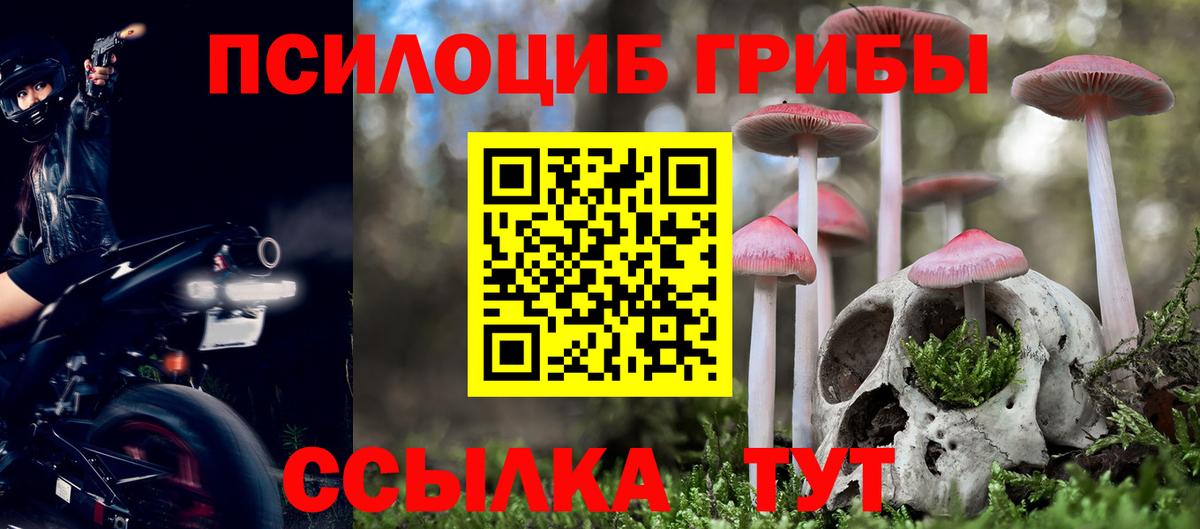 Галлюциногенные грибы Psilocybe  Вход с VPN  Гусиноозёрск  Галлюциногенные грибы MAGIC MUSHROOMS 